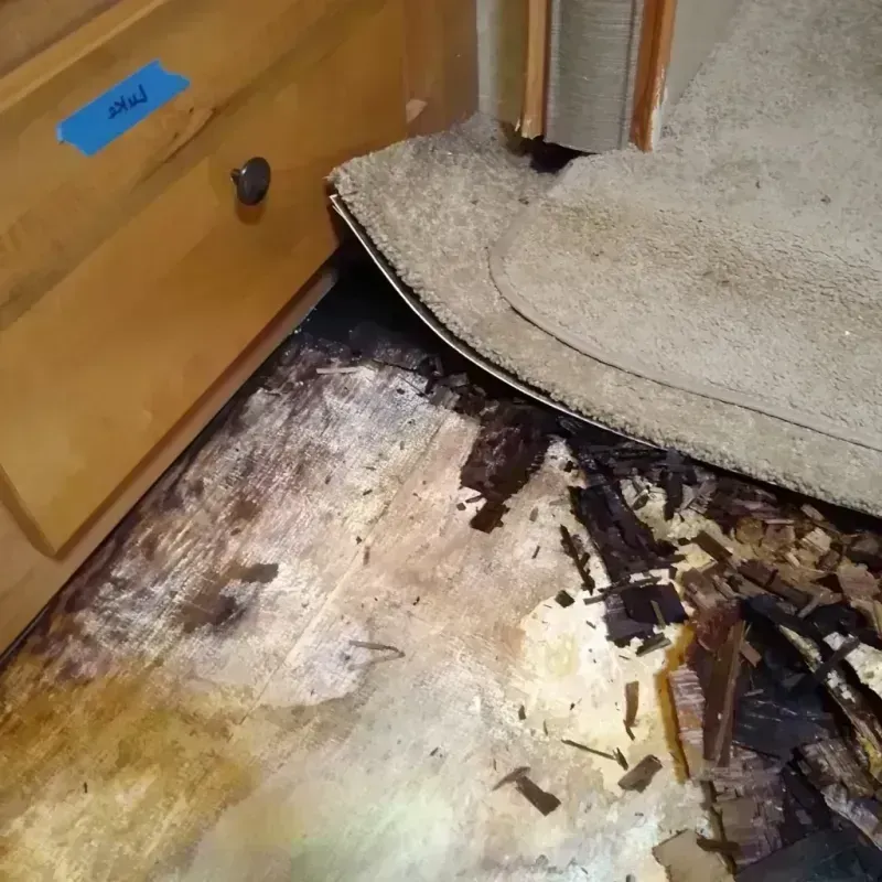 Wood Floor Water Damage in Saint Louis Park, MN